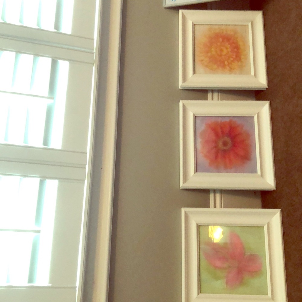 3 flower pictures